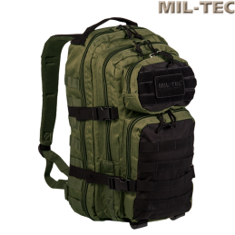 MIL-TEC - Sac de Transport ASSAULT, Version Small MOLLE/PALS, Ranger Green et Noir