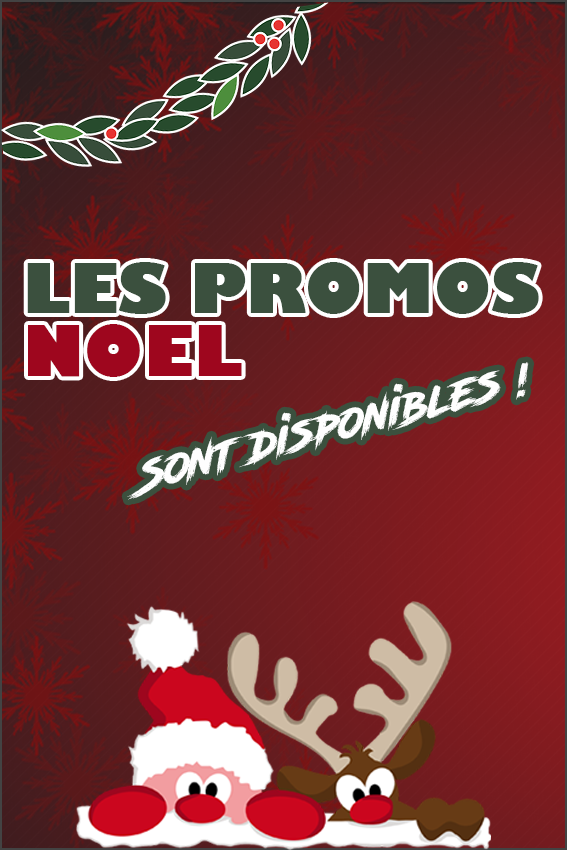 Découvrez toutes les promotions de Noel.