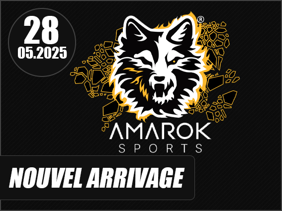Arrivage chargeur Amarok Sports !